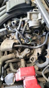 photo_23_2025-04-12_20-20-04